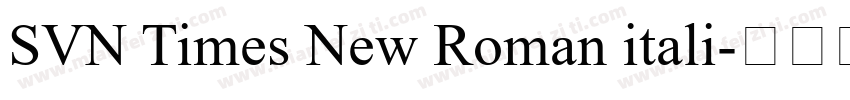 SVN Times New Roman itali字体转换